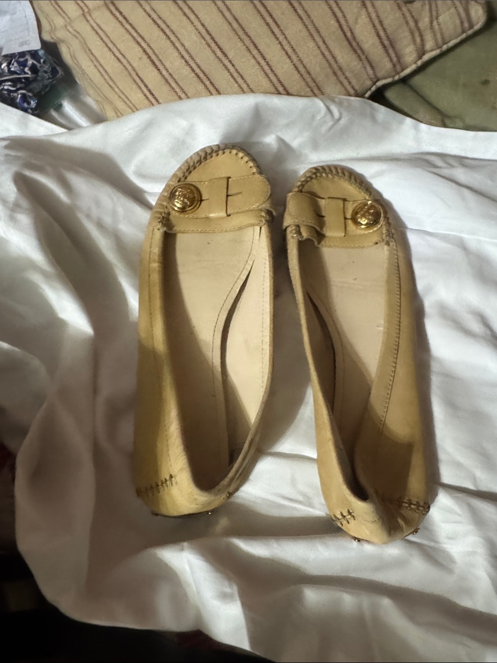 Coach shoes